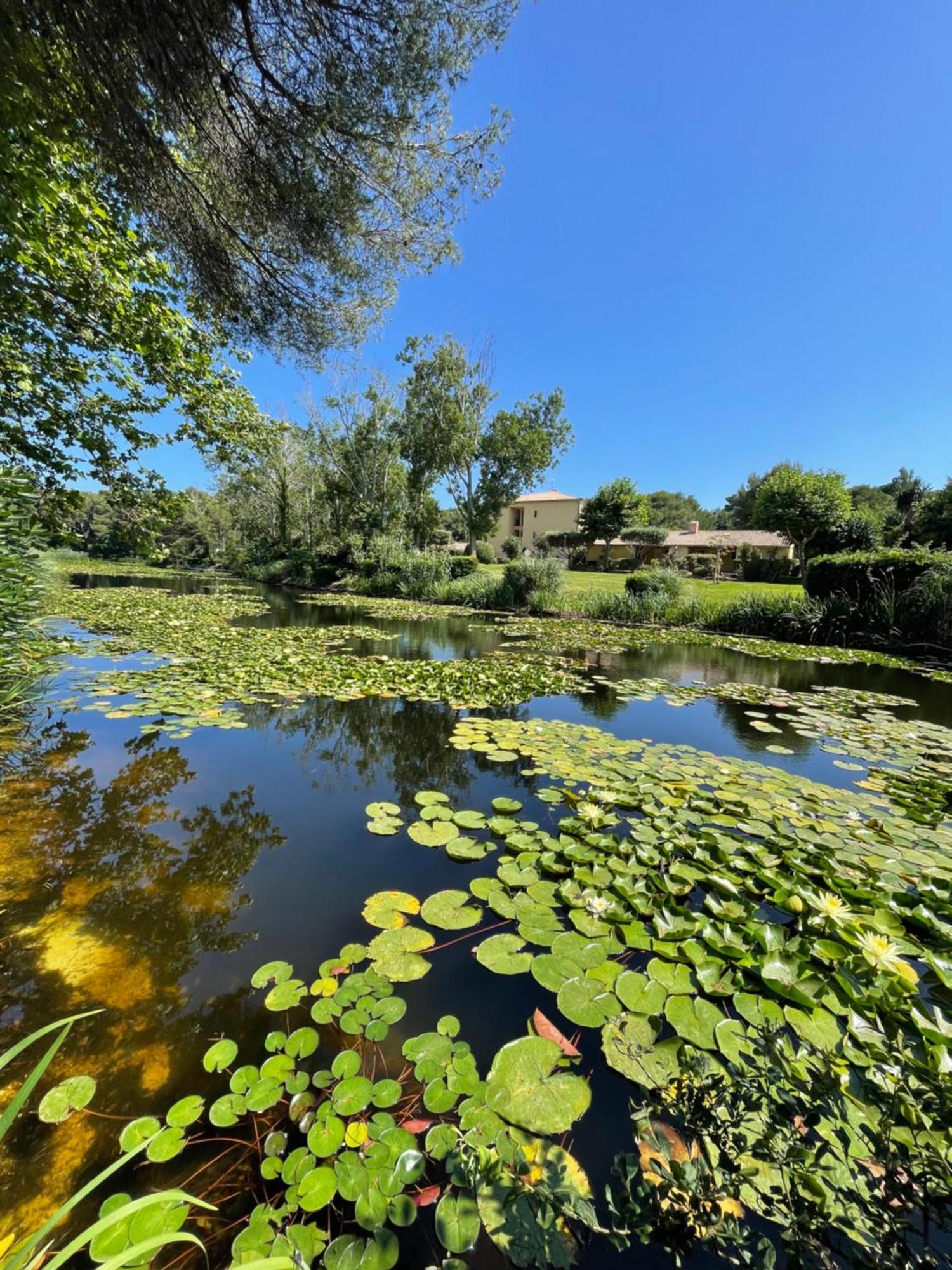 Le Rayon Vert Six-Fours-les-Plages Exterior photo